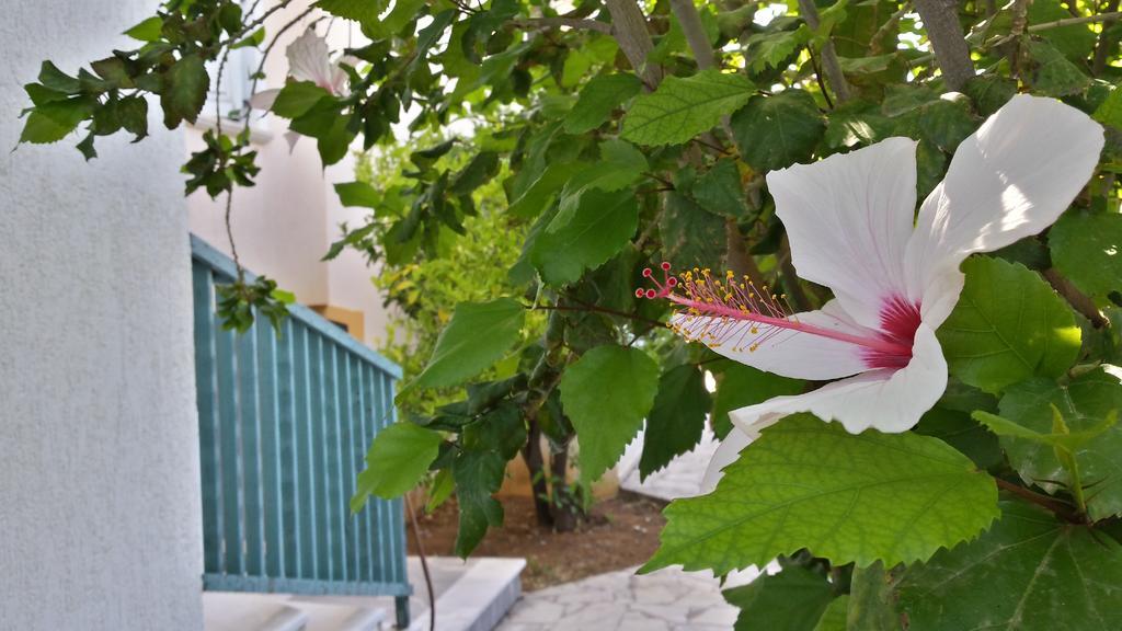 Amazones Village Suites Hersonissos (Crete) Exterior foto