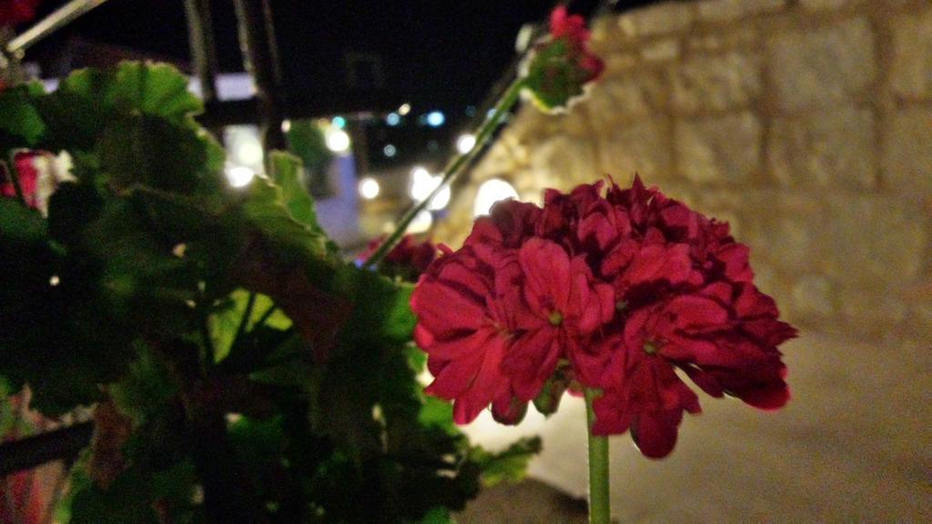 Amazones Village Suites Hersonissos (Crete) Exterior foto